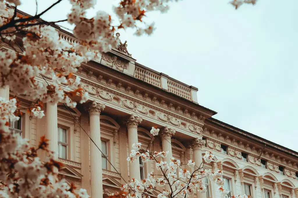 【十二星座特質大解碼】台灣味十足的星盤解析