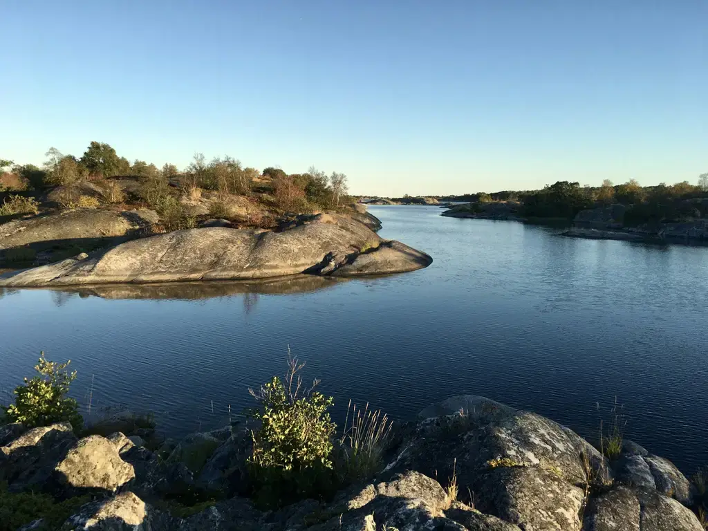 天蠍座忽冷忽熱:解鎖難以捉摸的蠍子心